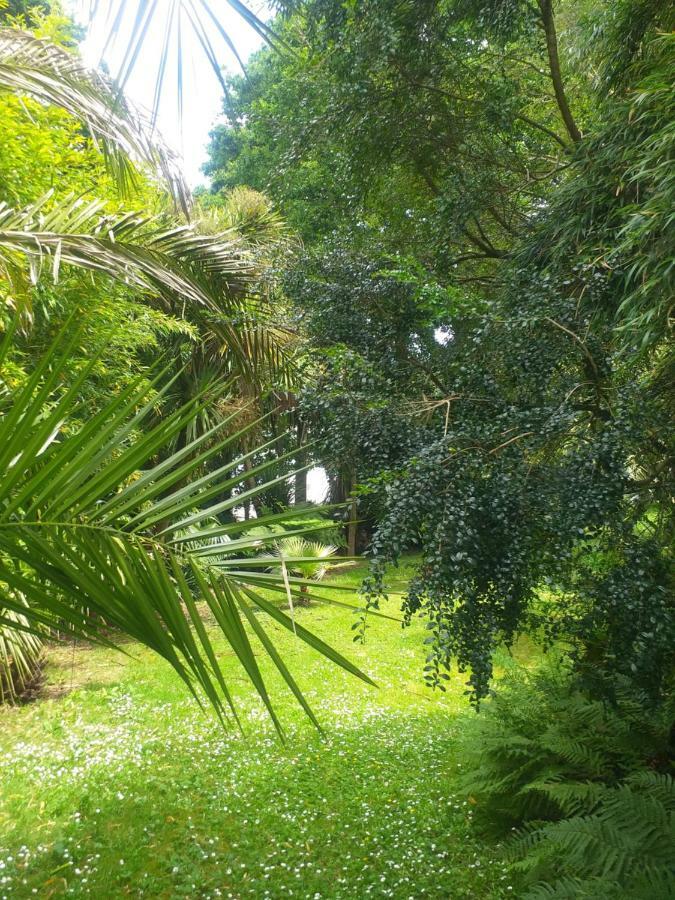 Un Jardin En Pente Douce Villa Locquenole Exteriör bild