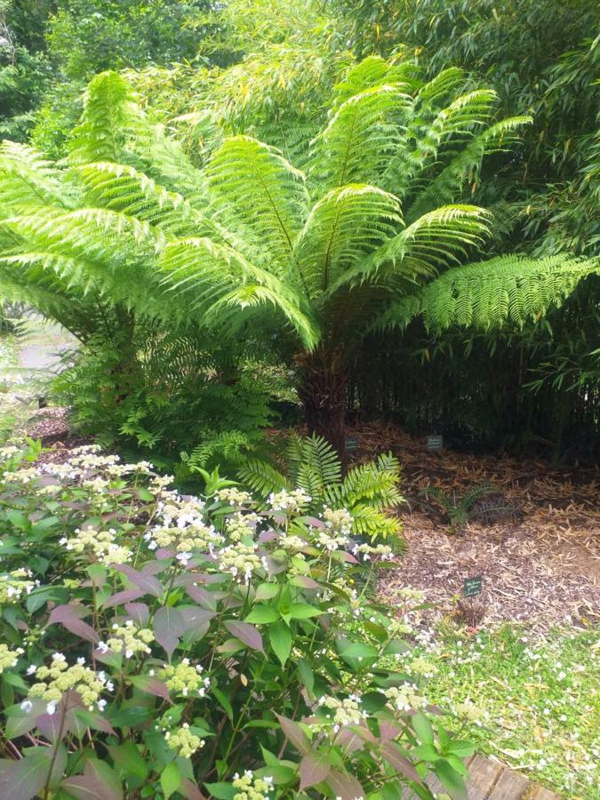 Un Jardin En Pente Douce Villa Locquenole Exteriör bild