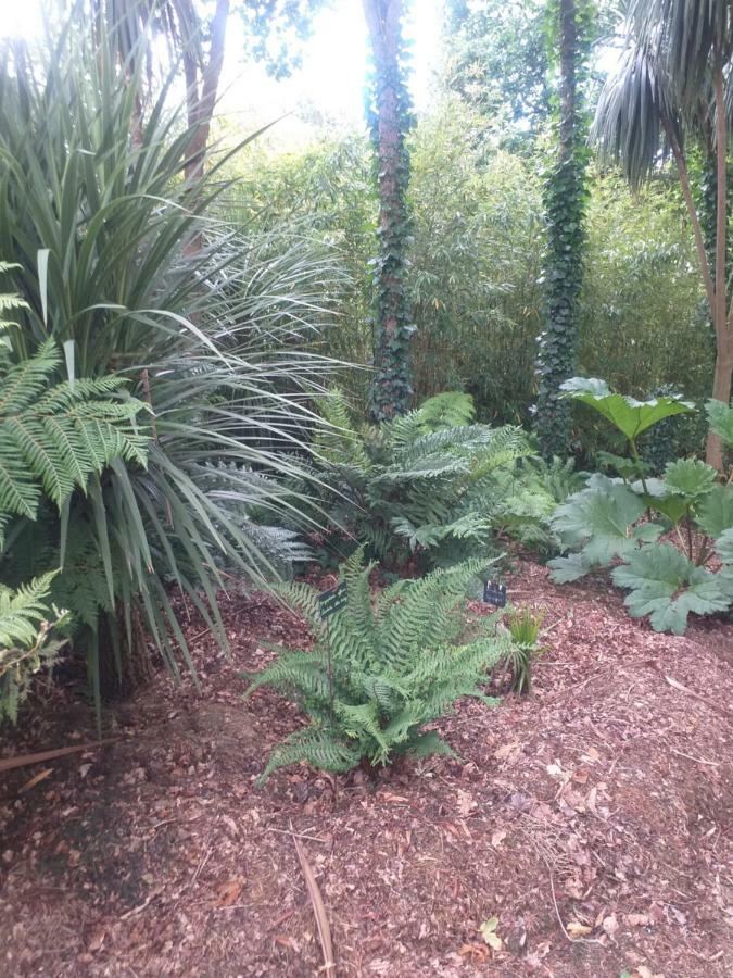 Un Jardin En Pente Douce Villa Locquenole Exteriör bild