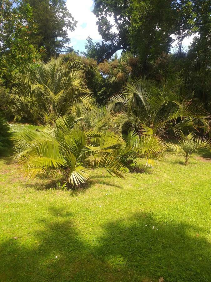 Un Jardin En Pente Douce Villa Locquenole Exteriör bild
