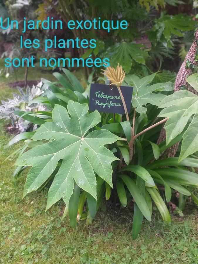 Un Jardin En Pente Douce Villa Locquenole Exteriör bild