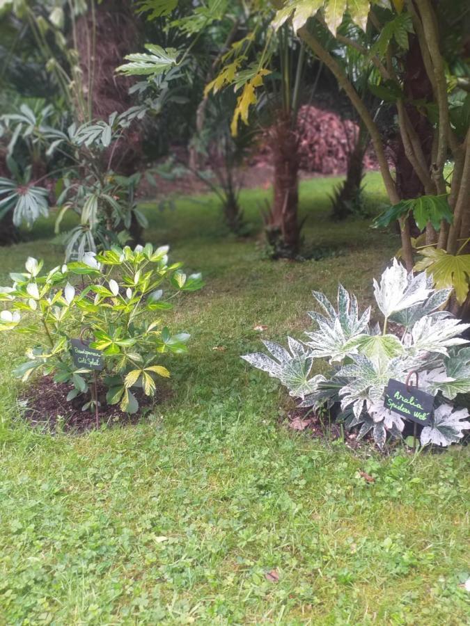 Un Jardin En Pente Douce Villa Locquenole Exteriör bild